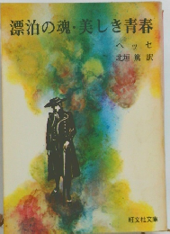 漂泊の魂・美しき青春