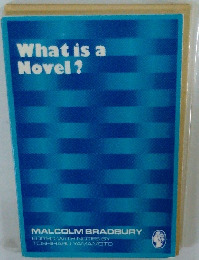 What is a Novel?