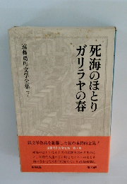 死海のほとりガリラヤの春　遠藤周作文学全集　7