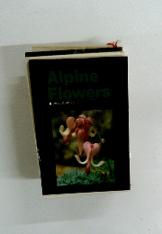 Alpine　Flowers