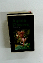 Alpine　Flowers