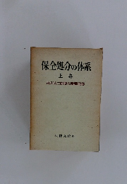 保全処分の体系　上卷