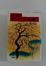 それからの武蔵 V