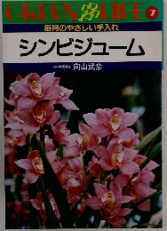 シンビジューム　７