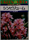 シンビジューム　７