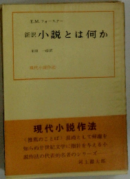 新訳小説とは何か