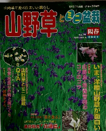 山野草とい盆栽　2001年　陽春