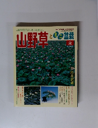 山野草　2002年夏　vol 33