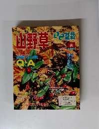 山野草 2000年秋　vol 22