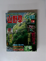 山野草とミニ盆栽　早春　2001年 Vol.24