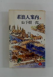 素浪人案内　下　