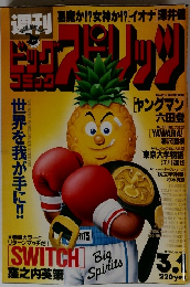 ビッグコミックスピリッツ　1993年3月1日号