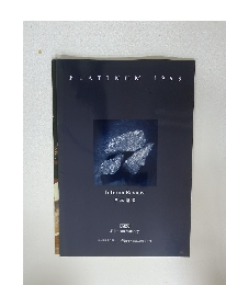 PLATINUM 1995 Interim Review 日本語版