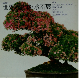 INTERNATIONAL BONSAI AND SUISEKI EXHIBITION