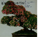 INTERNATIONAL BONSAI AND SUISEKI EXHIBITION