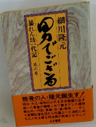 男でござる　暴れん坊一代記 風の巻