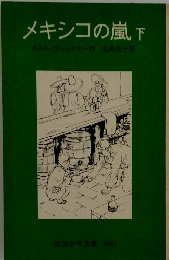 メキシコの嵐 下