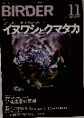 BIRDER　2014年11月号