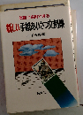 新しい手紙あいさつ文例集 気軽に応用できる