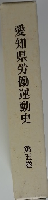 愛知県労働運動史５