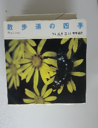 散歩道の四季