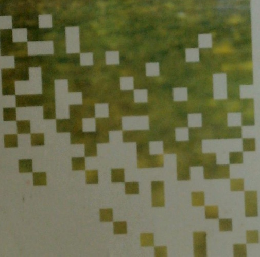 世田谷ゆかりの作家たち