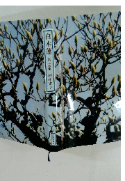 白木蓮 　第二歌集