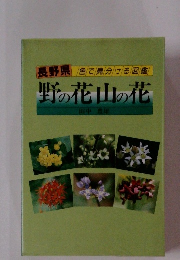 野の花山の花
