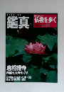 鑑真　仏教を歩く　2004年1月25日号　No.14　