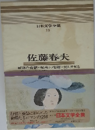 日本文学全集 19