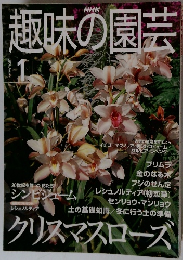 趣味の園芸　2001年1月号　