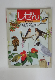 しぜん　まちのとりたち