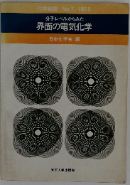 界面の電気化学