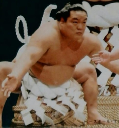 昭和の名横綱シリーズ4 北の富士勝昭
