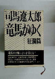 竜馬がゆく狂瀾篇