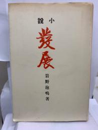 発展　小説