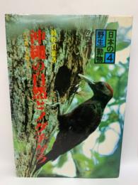 シリーズ日本の野生動物 沖縄の自然とノグチゲラ