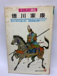 徳川家康 サンデー講談