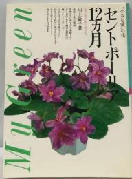 セントポーリア12カ月ー必ず花が咲く育て方