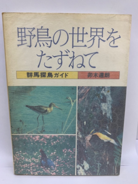 野鳥の世界をたずねて 群馬探鳥ガイド(卯木達朗) / 古本、中古本 野鳥の世界をたずねて 群馬探鳥ガイド(卯木達朗) / 古本、中古本