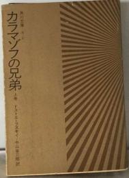 カラマゾフの兄弟「上巻」