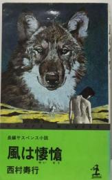 風は悽愴 長編小説