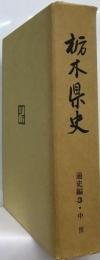 栃木県史