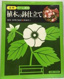 植木の鉢仕立て : 栽培・管理の秘訣