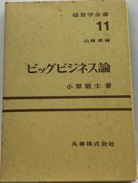 ビッグビジネス論11 （経営学全書）