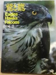 鷲と鷹   Eagles Hawks Falcons