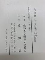 愛知県史 資料編28