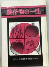 農作物の一生