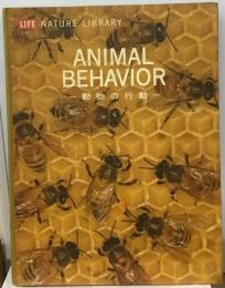 Animal behavior, 動物の行動