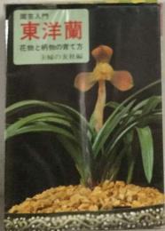 東洋蘭ー花物と柄物の育て方